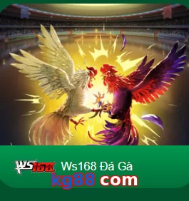 kg88 com